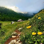 Sušnik