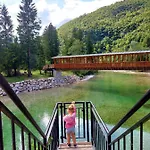 Sušnik *