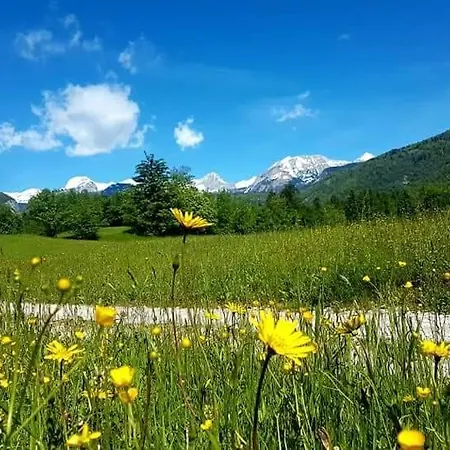Susnik Apartma