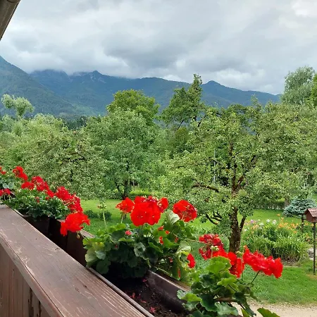 Susnik アパート *