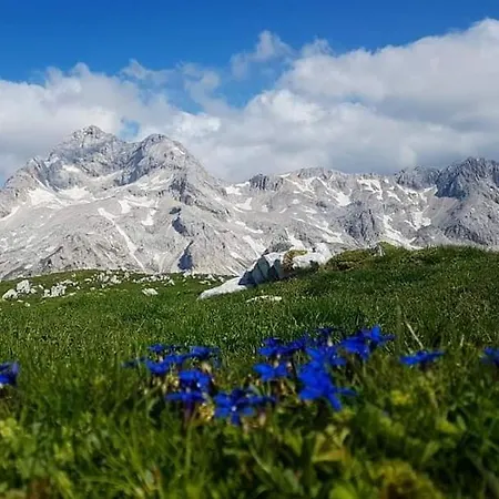 Susnik アパート ボーヒニ