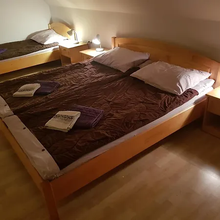 Apartma Susnik Bohinj