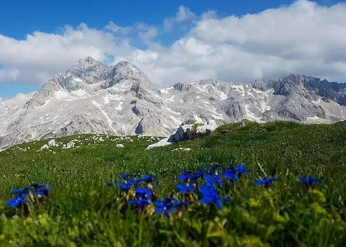 Susnik Apartment Bohinj